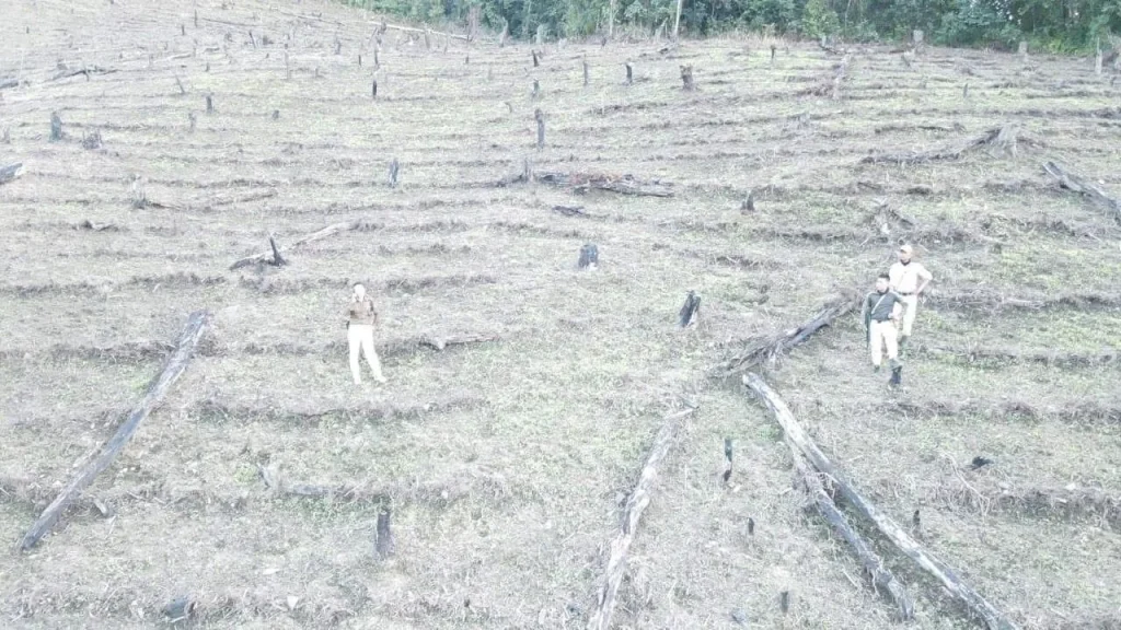 Senapati: Illicit Poppy Cultivation Survey Conducted at Sadim Lizai 2 WhatsApp Image 2025 10 23 at 18.00.26 b66b73bf