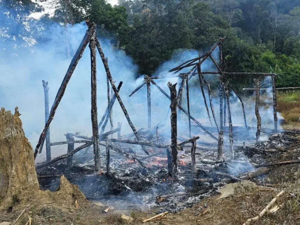 Joint Team Destroys 12 Acres of Poppy Fields in Senapati District 1 WhatsApp Image 2025 01 28 at 11.36.43 745f8833