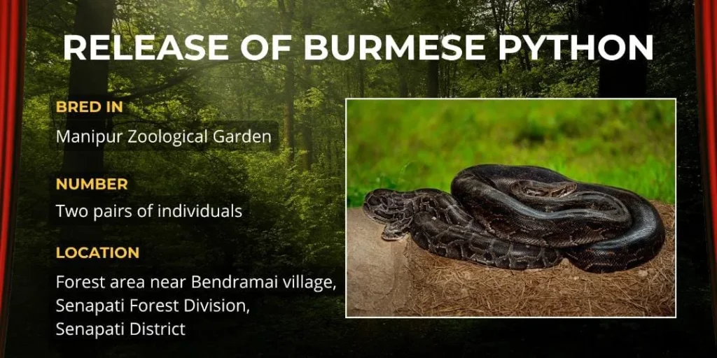 WhatsApp Image 2025 10 09 at 6.17.12 PM 1