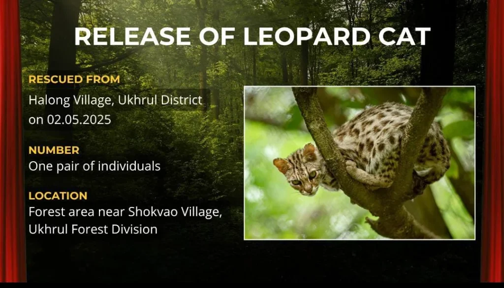 WhatsApp Image 2025 10 09 at 6.17.12 PM