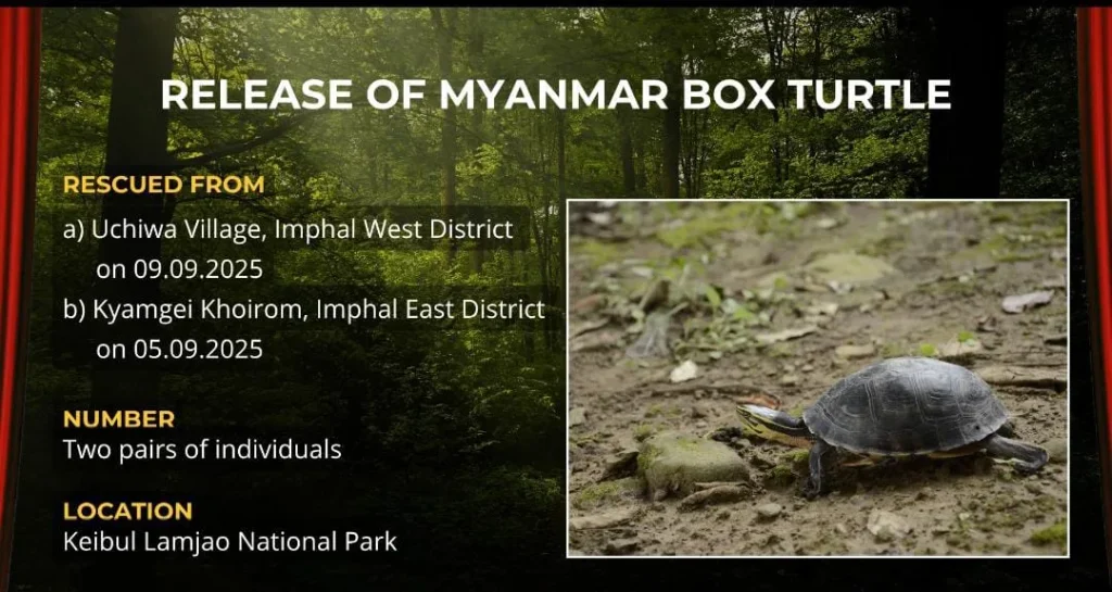 WhatsApp Image 2025 10 09 at 6.17.13 PM