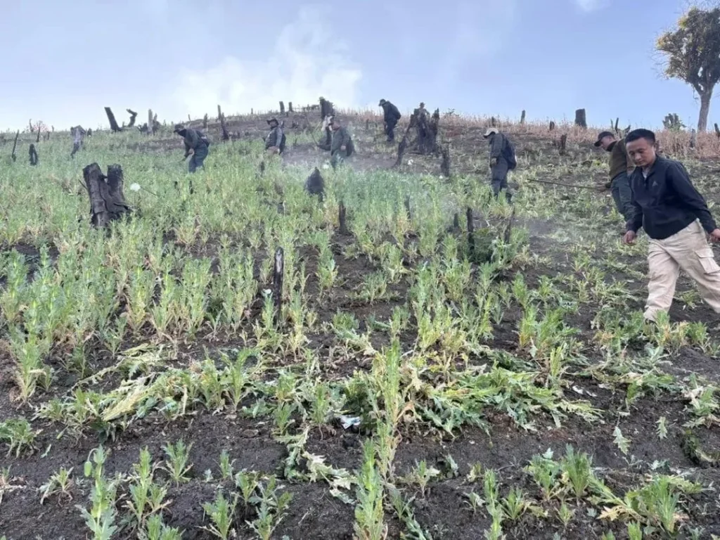 WhatsApp Image 2025 12 30 at 8.13.41 AM 1