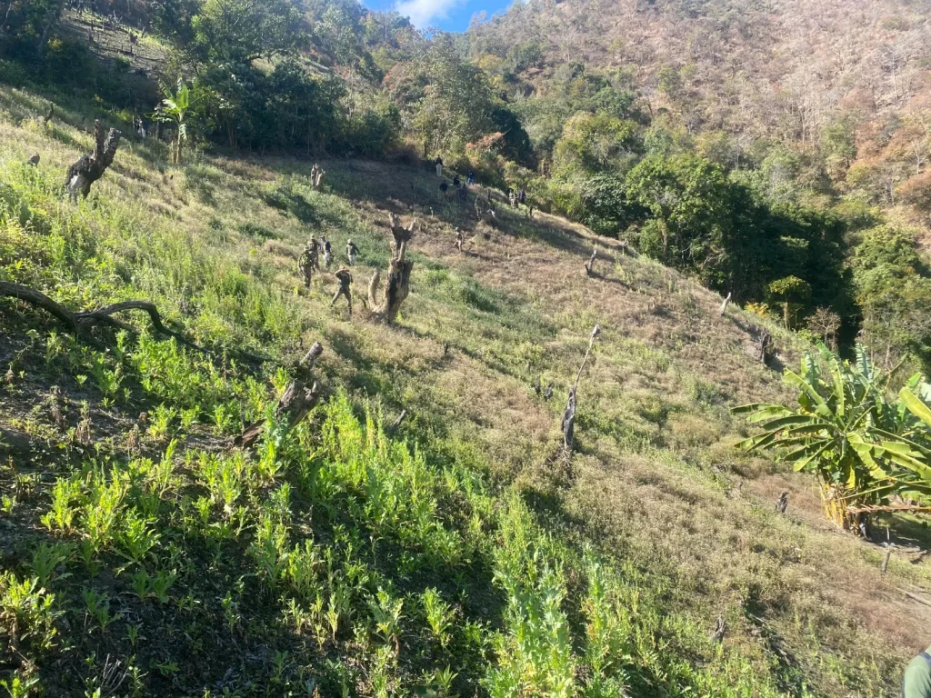 WhatsApp Image 2026 01 06 at 5.17.23 PM 1